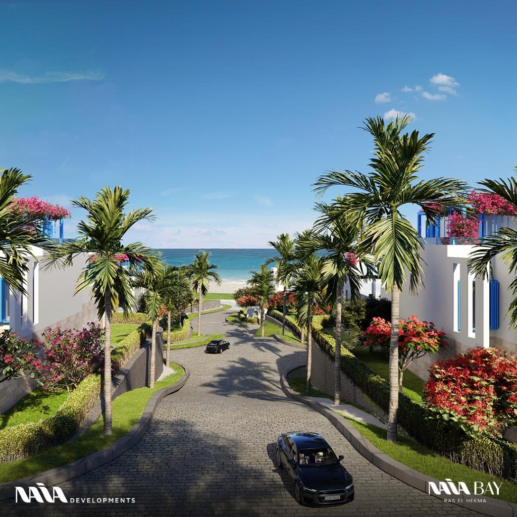 naia bay1